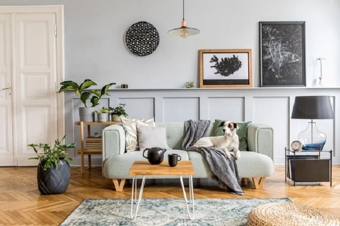 Top 5 Interior Designs for 2024